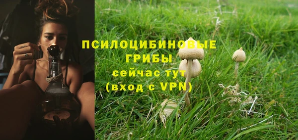 a pvp Алзамай