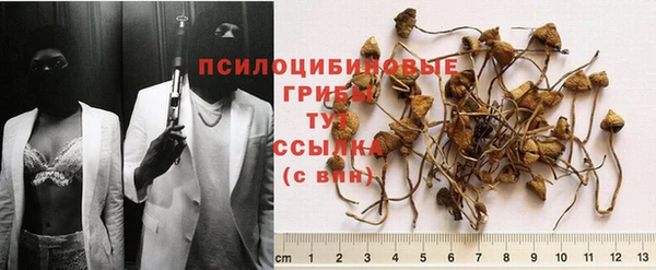 гашик Абаза
