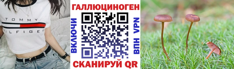 Галлюциногенные грибы MAGIC MUSHROOMS Бобров
